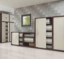 Metal cabinets