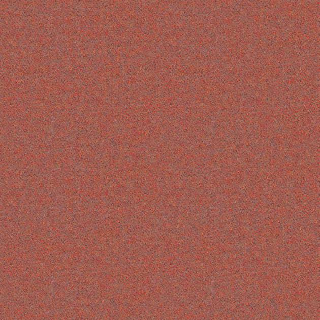Synergy_Bejot_Krasas