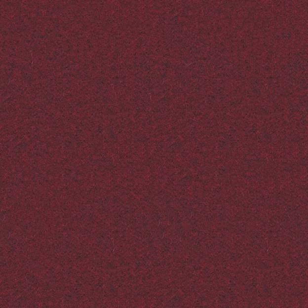 Synergy_Bejot_Krasas