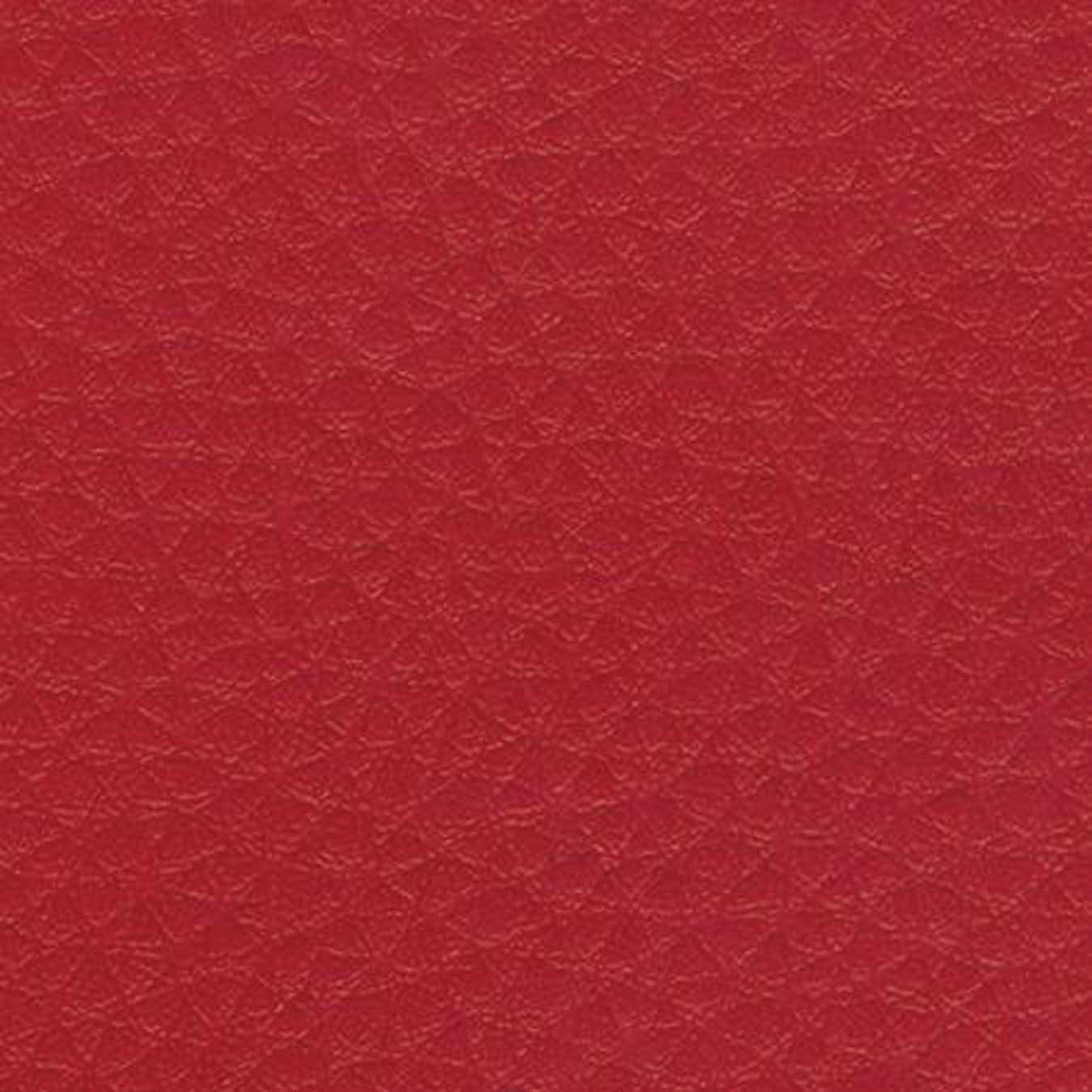 nsg_colour_leather_imitation