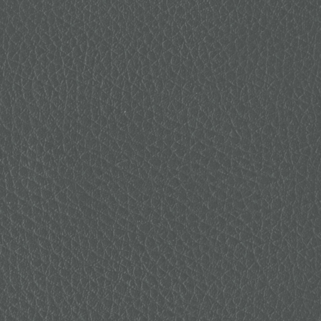 nsg_colour_leather_imitation
