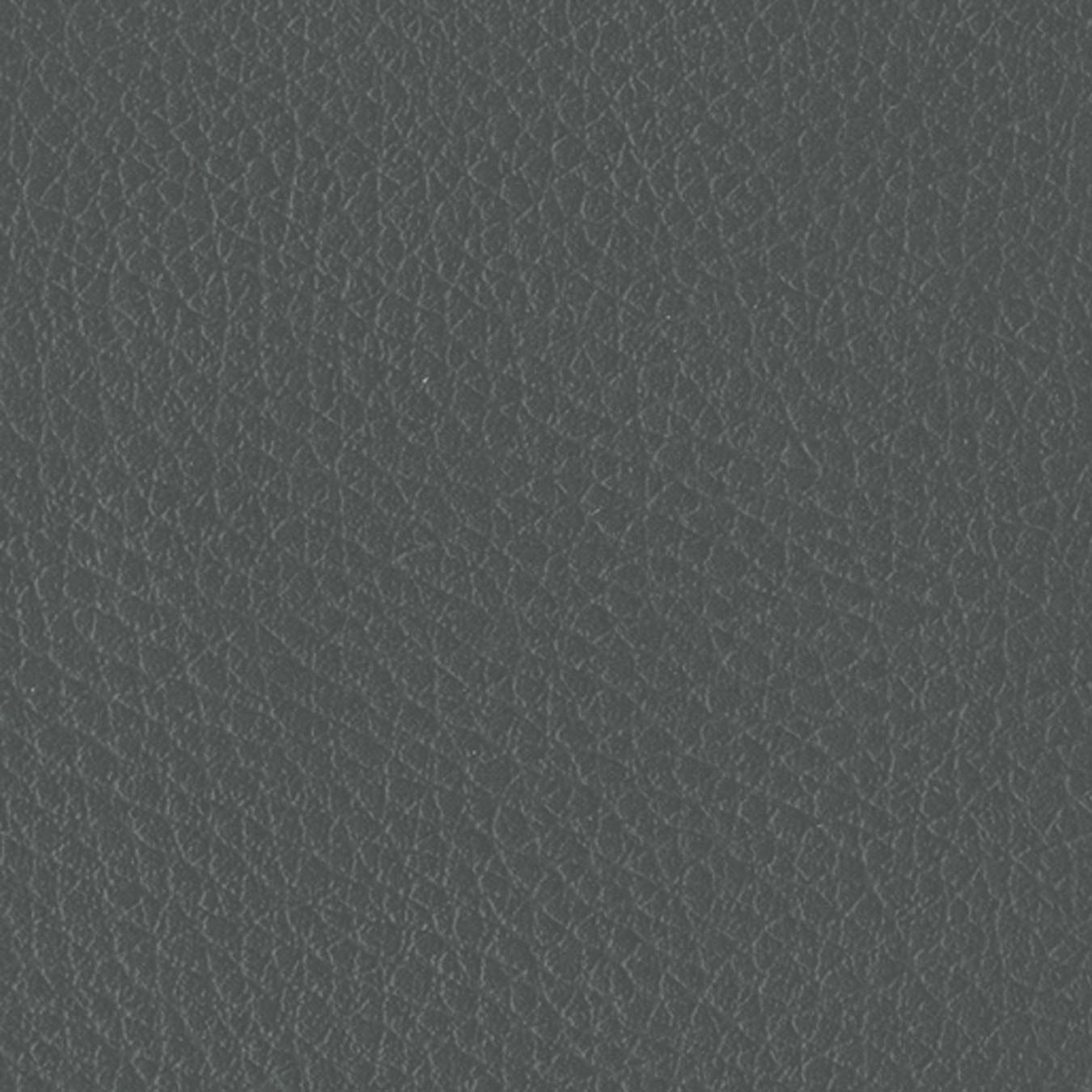 nsg_colour_leather_imitation