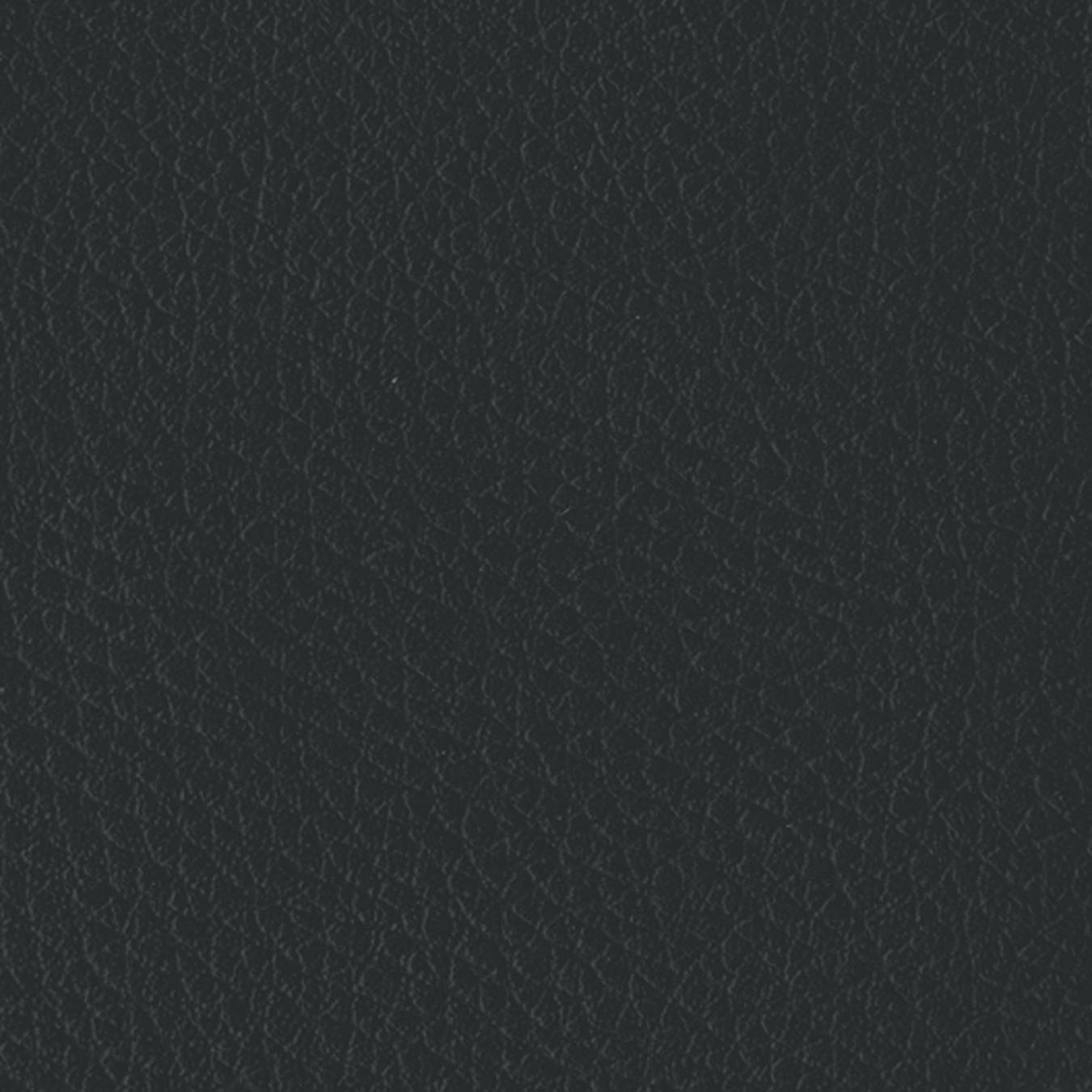 nsg_colour_leather_imitation