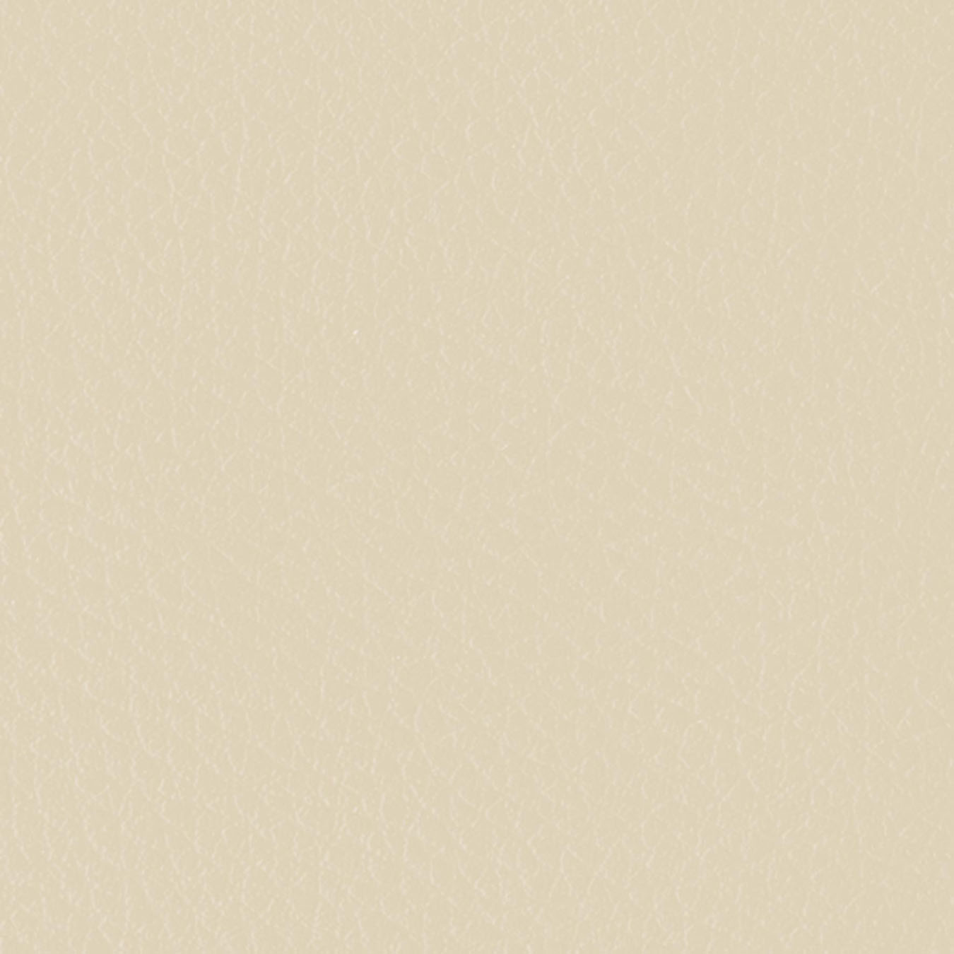nsg_colour_leather_imitation