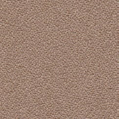 nsg_colour_bondai