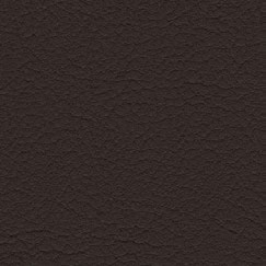 nsg_colour_valncia