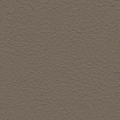 nsg_colour_valncia