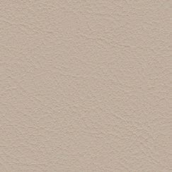 nsg_colour_valncia