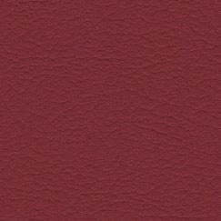 nsg_colour_valncia