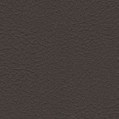 nsg_colour_valncia