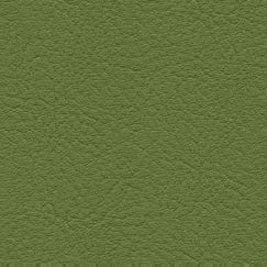 nsg_colour_valncia