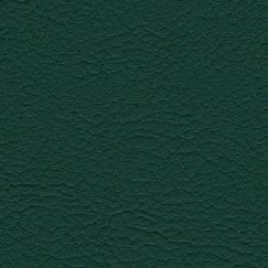 nsg_colour_valncia