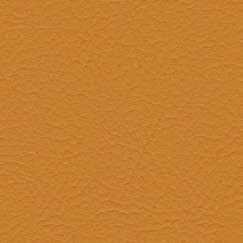 nsg_colour_valncia