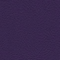 nsg_colour_valncia