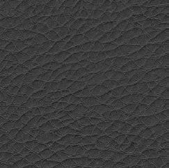nsg_colour_Skai_parotega