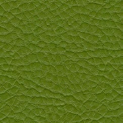 nsg_colour_Skai_parotega