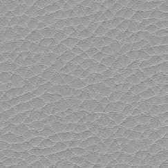 nsg_colour_Skai_parotega