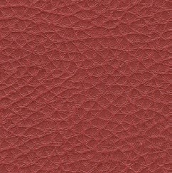 nsg_colour_Skai_parotega