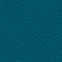 nsg_colour_Skai_parotega