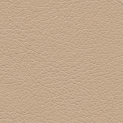 Fine_leather_LE_NSG