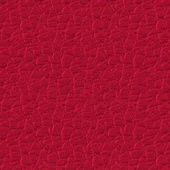 Fine_leather_SD_NSG