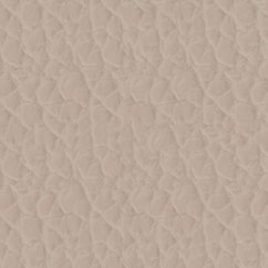 Fine_leather_SD_NSG