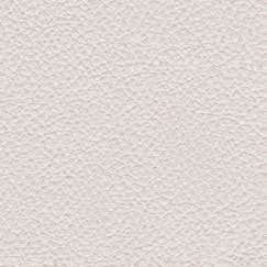 nsg_Nappa_leather