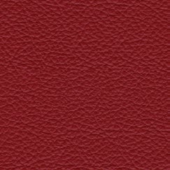 nsg_Nappa_leather