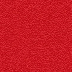 nsg_Nappa_leather