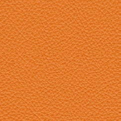 nsg_Nappa_leather
