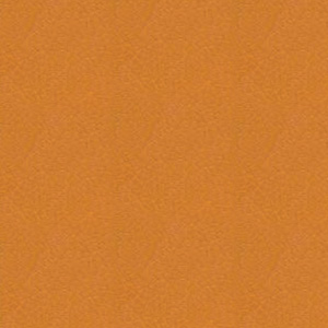 Finishes_Profim_Leather