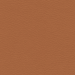 Finishes_Profim_Leather_premium