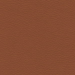 Finishes_Profim_Leather_premium