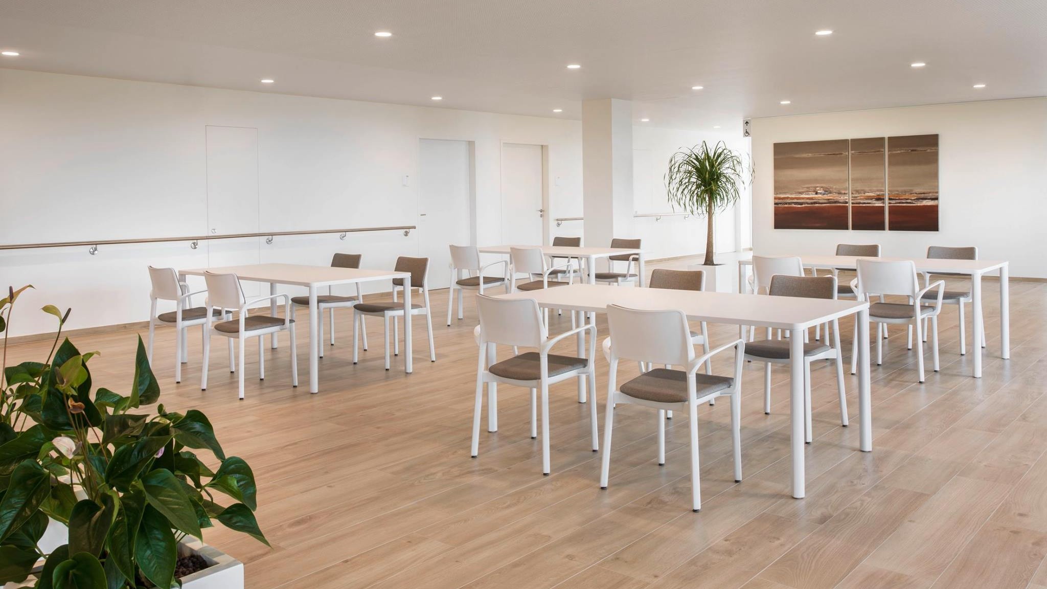 CityOffice_Koka_Kresli_Arn