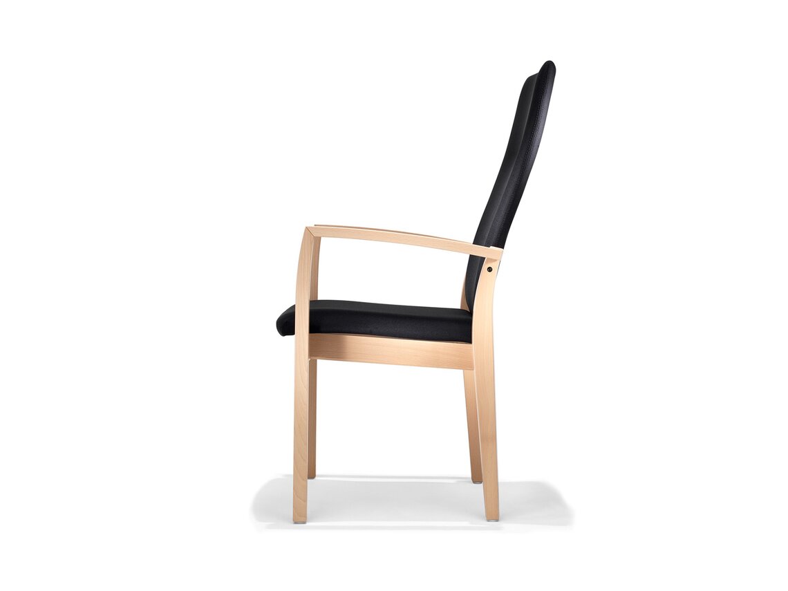 CityOffice_Palato_Koka_Kresli_Modeli