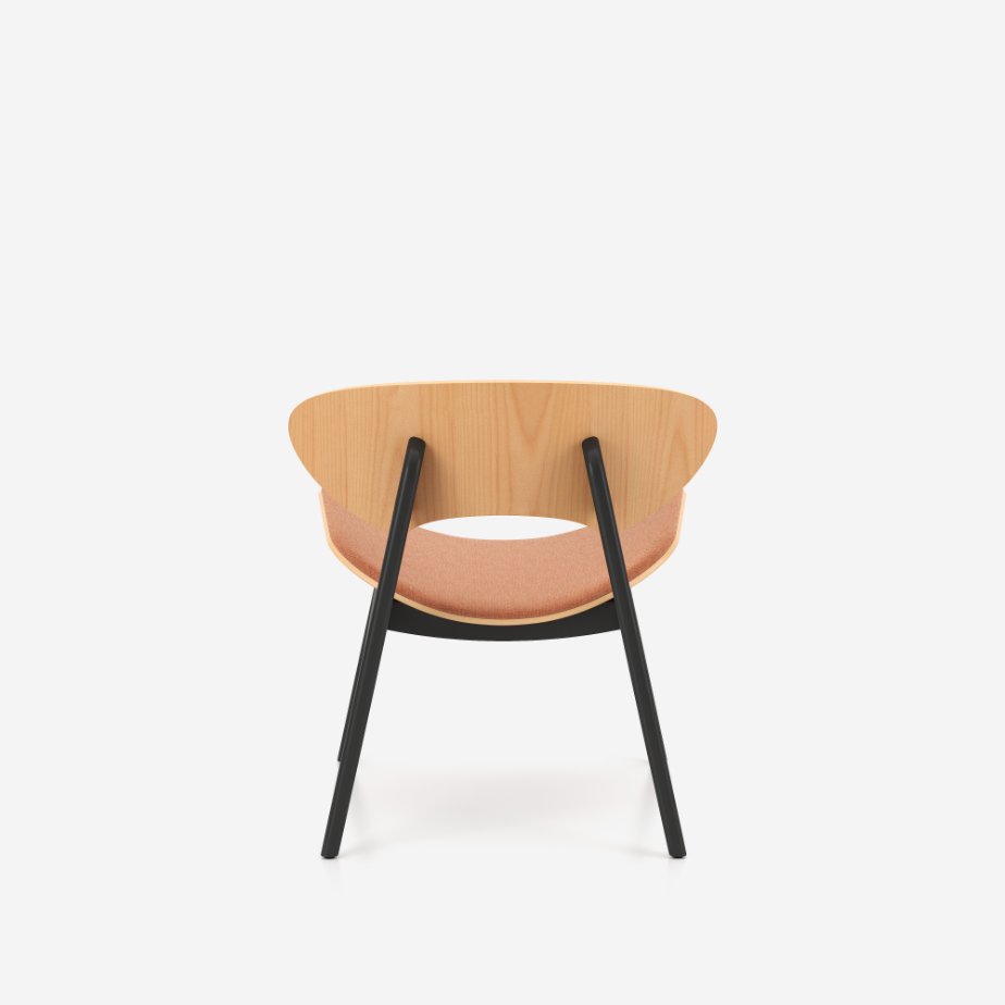 CityOffice_Lounge_Kresli_Kanu_Modeli