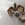 Leaf_Pod